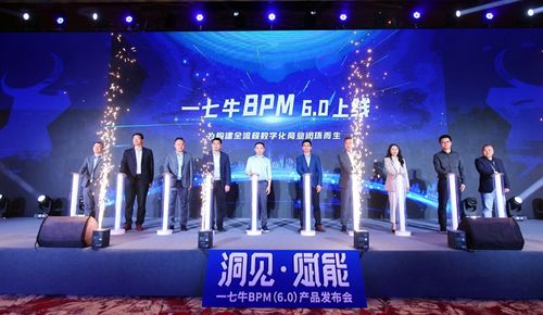出头科技 洞见 赋能 一七牛bpm6.0系统发布会成功举办